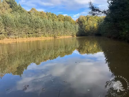 vente terrain 15870 m² à allogny (18110)  75 600 €