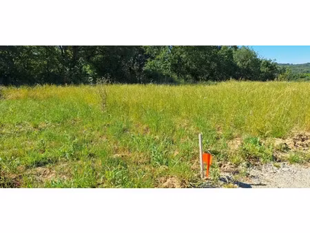 vente terrain 1000 m² à beaufort (31370)  78 000 €