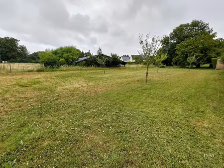 vente terrain 753 m² à brissac-quincé (49320)  69 550 €