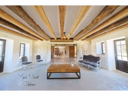 maison à vendre 11 pièces saint amour (39)