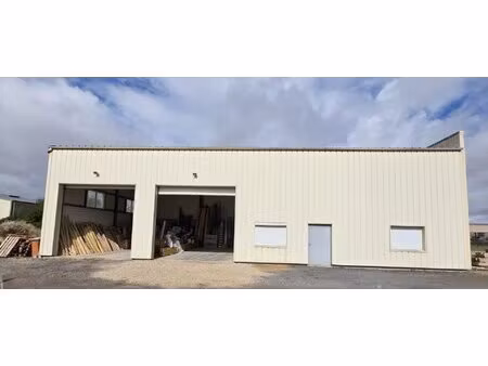 local professionnel avec garage utilitaire - accès rapide n12