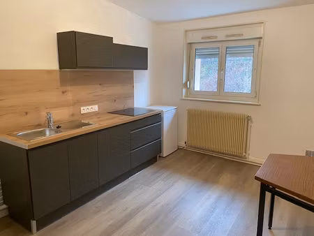 location appartement 2 pièces 30m² remiremont 88200