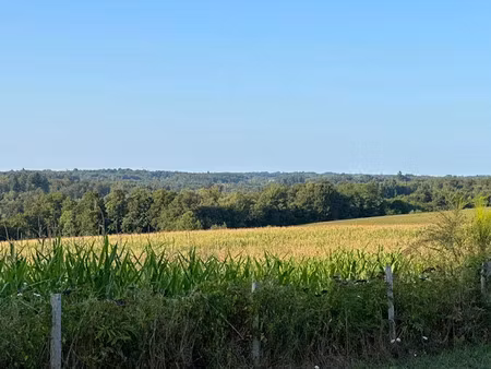 vente ferme 1 pièce 1600 m² à payzac (24270)  1 150 000 €