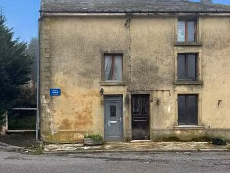 maison 3 façades avec jardin à sainte-cécile