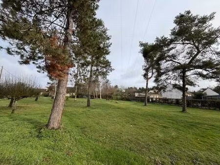 terrain constructible viabilisé à vendre