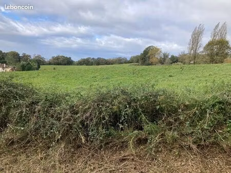 beau terrain vue sur pyrénées