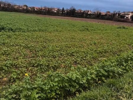 terrains à louer idéal chevaux