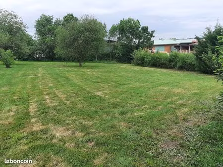 terrain constructible