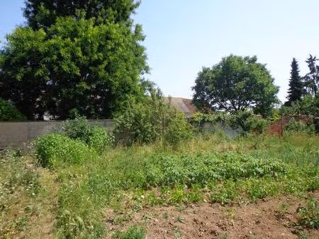 terrain constructible viabilisé à vendre