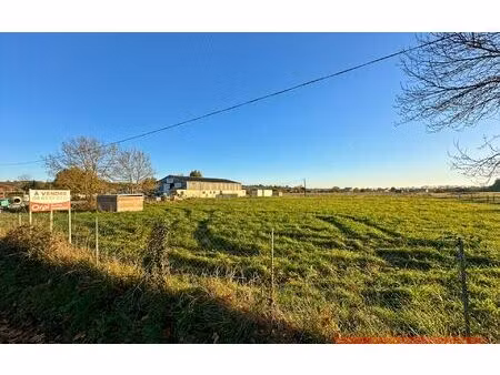 terrain gaillac m² t- à vendre  190 000 €