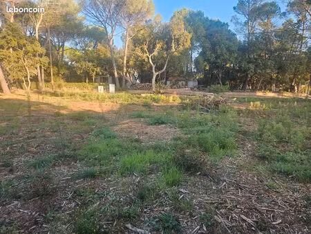 terrain permis accepté