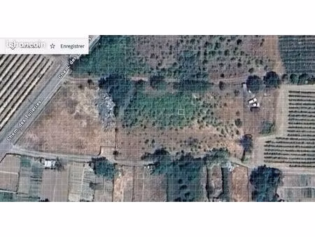 terrain agricole à vendre