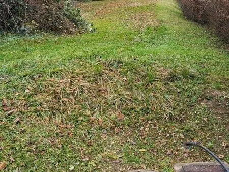 terrain 3700 m² bart