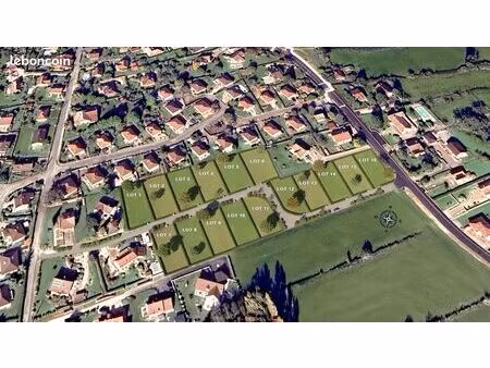 terrain - des prés verts