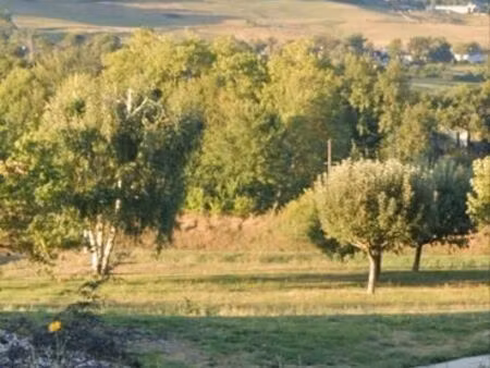 vente terrain 1000 m2