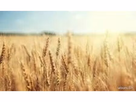 bien agricole 390000 m² brion