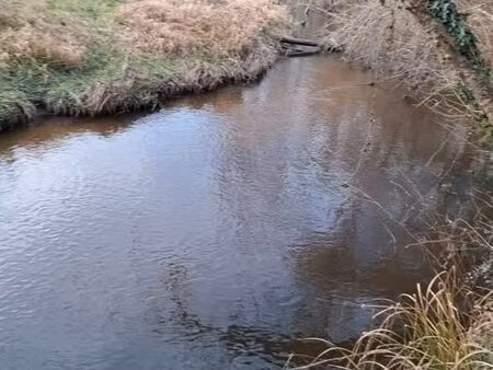 terrain de loisirs en bord de rivière (authion)