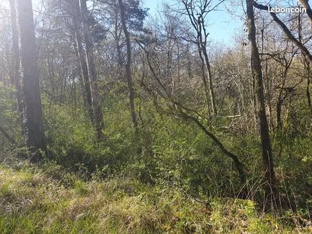 vente de 3 terrains boisés - 4031 m2 à vayres-sur-essonne (région parisienne)