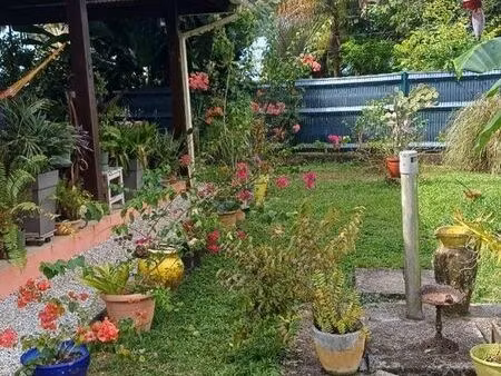 immo-vert  maison t4 duplex  matoury