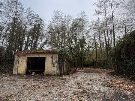 terrain mirambeau 6000 m2