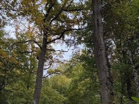 terrain 270000 m² avallon