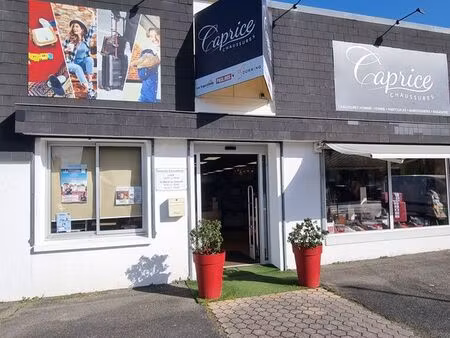 fond de commerce vente de chaussures/maroquinerie