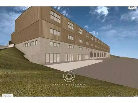 santini & bastelica immobilier