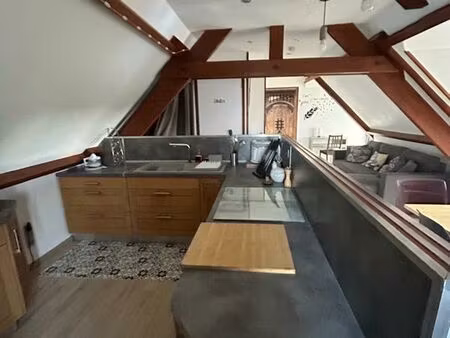 appartement entièrement meublé  rare avec jardin  pour 5 étudiants du lycée agricole   ent