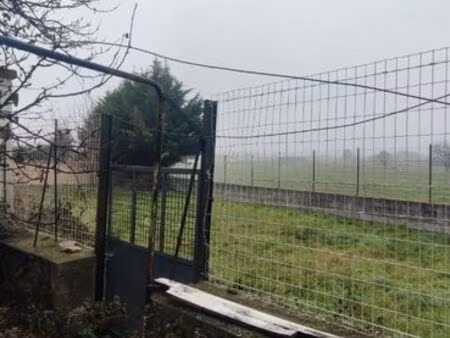 terrain clos pour animaux