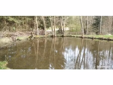 terrain de loisirs 1ha vosges