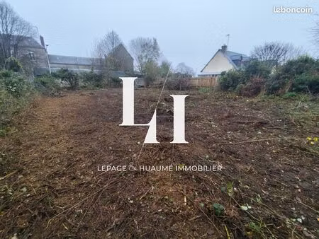 terrain 1 pièce 481 m²