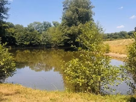 terrain 16820 m² la cellette