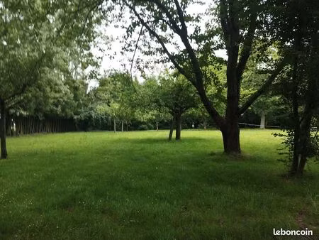 terrain constructible