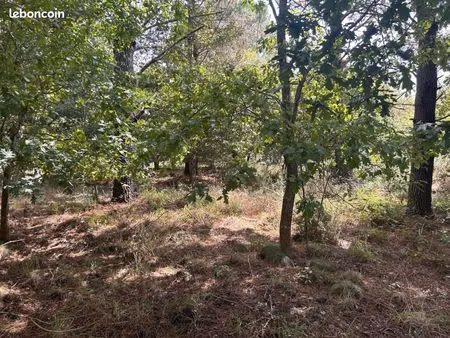 terrain 2 941 m² bias