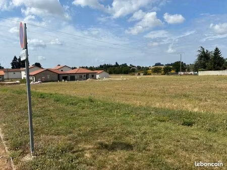 terrain constructible