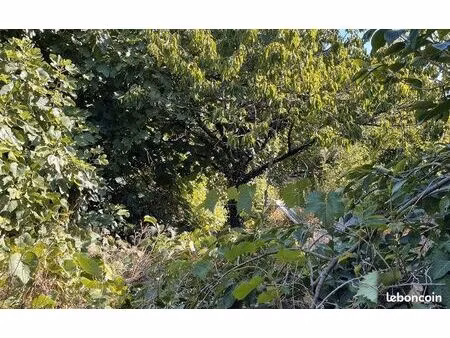 terrain 761 m² marennes hiers brouage