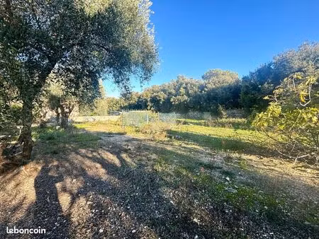 terrain 1 513 m² grasse