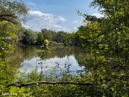 propriété avec étangs et 3 maisons – 10 km au sud de nancy – opportunité rare