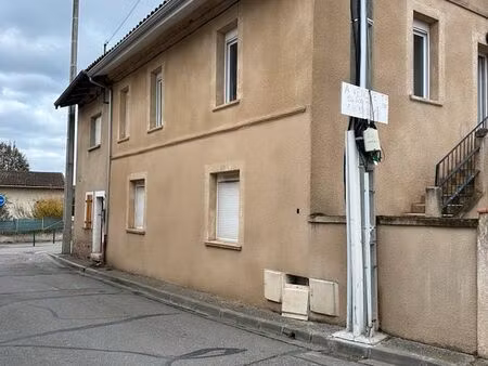 appt t3 hypercentre seysses 57m²