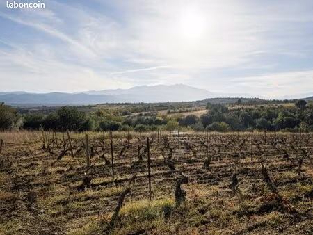 à vendre - millas 66170 - terrain agricole