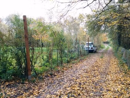 terrain de loisirs et verger