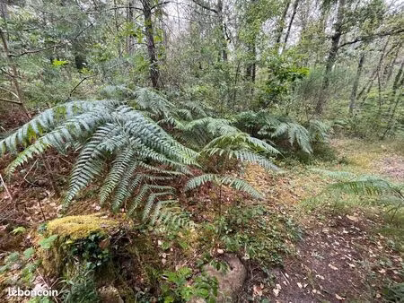 terrain 129172 m² le vaudoué