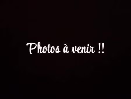 maison individuelle plain-pied