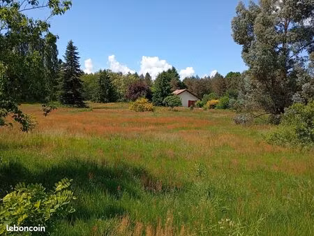 maison dans la nature