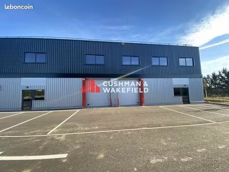 local d'activite 784 m² bruguieres