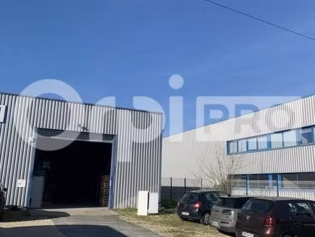 local d'activité 800 m²