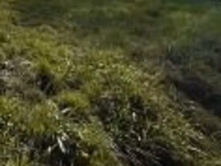 terrains constructibles viabilisé