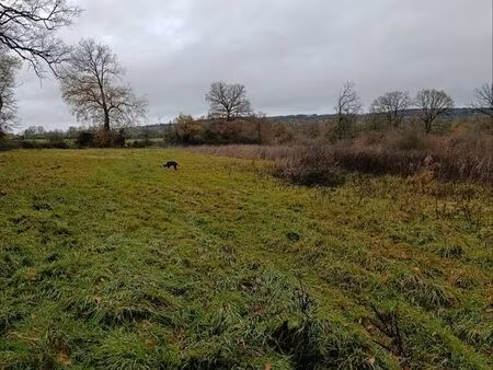 terrain loisir plus de 6 hectares