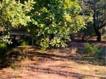 terrain constructible de 3028 mètres carrés