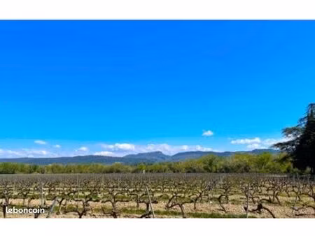 à louer local professionnel